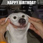Forced To Smile Dog | HAPPY BIRTHDAY | image tagged in forced to smile dog,scumbag | made w/ Imgflip meme maker