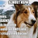 Lassie | ALMOST NSFW; *BOY* | image tagged in lassie | made w/ Imgflip meme maker