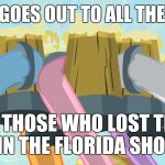 May they forever rest in peace! | HEART GOES OUT TO ALL THE HEROS; AND THOSE WHO LOST THEIR LIVES IN THE FLORIDA SHOOTING! | image tagged in cheers mlp,memes,florida shooting,school shooting,florida | made w/ Imgflip meme maker