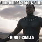 Black Panther Spotlight | WISE MEN BUILD BRIDGES, FOOLS BUILD BARRIERS; - KING T’CHALLA | image tagged in black panther spotlight | made w/ Imgflip meme maker
