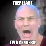 There are four lights | THERE! ARE! TWO GENDERS! | image tagged in there are four lights | made w/ Imgflip meme maker