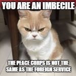 the Peace Corps is not the same as the Foreign Service | YOU ARE AN IMBECILE; THE PEACE CORPS IS NOT THE SAME AS THE FOREIGN SERVICE | image tagged in angry cat,imbecile,stupid people | made w/ Imgflip meme maker