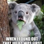 Surprised Koala | ME; WHEN I FOUND OUT THAT JULIET WAS FIRST PLAYED BY A MAN | image tagged in surprised koala | made w/ Imgflip meme maker