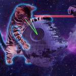 star wars laser cat