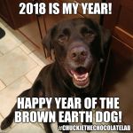 Happy Chinese New Year 2018  | 2018 IS MY YEAR! HAPPY YEAR OF THE BROWN EARTH DOG! #CHUCKIETHECHOCOLATELAB | image tagged in chuckie the chocolate lab teamchuckie,2018,chinese new year,year of the dog,dogs,memes | made w/ Imgflip meme maker