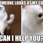 Wtf Cat | WHEN SOMEONE LOOKS AT MY COMPUTER; CAN I HELP YOU? | image tagged in wtf cat | made w/ Imgflip meme maker