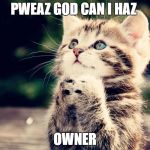 Kitten Can I Haz | PWEAZ GOD CAN I HAZ; OWNER | image tagged in kitten can i haz | made w/ Imgflip meme maker