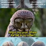 Impatient Owl | Alright, you guys. Where the hell is my coffee? | image tagged in clout vs coffee | made w/ Imgflip meme maker