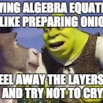 SHREK & ONIONS | SOLVING ALGEBRA EQUATIONS IS LIKE PREPARING ONIONS; PEEL AWAY THE LAYERS... AND TRY NOT TO CRY | image tagged in shrek  onions | made w/ Imgflip meme maker