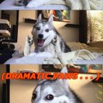 Wait for it... | HOW DO YOU BUILD SUSPENSE WHEN YOU TELL A BAD PUN? (DRAMATIC PAWS . . . ) | image tagged in bad pun dog aliens zinger,memes,wait for it | made w/ Imgflip meme maker