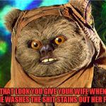 Ewok over to her and take that ass. | THAT LOOK YOU GIVE YOUR WIFE WHEN SHE WASHES THE SHIT STAINS OUT HER FUR | image tagged in ewok star wars | made w/ Imgflip meme maker