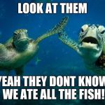 turtle high five | LOOK AT THEM; YEAH THEY DONT KNOW WE ATE ALL THE FISH! | image tagged in turtle high five | made w/ Imgflip meme maker