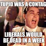Wiseguys | IF STUPID WAS A CONTAGION; LIBERALS WOULD BE DEAD IN A WEEK | image tagged in wiseguys | made w/ Imgflip meme maker