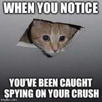 cat meme | WHEN YOU NOTICE; YOU’VE BEEN CAUGHT SPYING ON YOUR CRUSH | image tagged in cat meme | made w/ Imgflip meme maker
