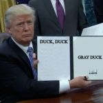 Duck, Duck Gray Duck | DUCK, DUCK; GRAY DUCK | image tagged in president trump signing jobs bill | made w/ Imgflip meme maker
