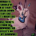 BLUES SINGER CAT | MY HUMAN IS LATE, SHOULD'VE EATEN AT EIGHT, I MAY BREAK DOWN AND CRY, CUZ TONIGHT I MIGHT DIE; BECAUSE THERE'S NO FOOD IN MY BOWWWWL! NO THEREEEEE'S NO FOOD IN MY BOWWWL! | image tagged in blues singer cat | made w/ Imgflip meme maker