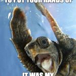 shook turt | WHEN COPS TELL YOU TO PUT YOUR HANDS UP; IT WAS MY FAULT SIR | image tagged in shook turt | made w/ Imgflip meme maker