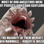 Ancesters were not always well behaved | MOST OF OUR ANCESTORS WERE NOT PERFECT LADIES AND GENTLEMEN. THE MAJORITY OF THEM WEREN'T EVEN MAMMALS. ~ ROBERT A. WILSON | image tagged in laughs microscopically,ladies,gentleman,human | made w/ Imgflip meme maker