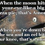 Bad Joke Eel | When the moon hits your eye like a big pizza pie, that's Amore. When you're down by the sea and an eel bites your knee, that's a moray. | image tagged in memes,bad joke eel,moray,that's amore | made w/ Imgflip meme maker