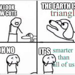 forget flat earth, it's a triangle now | THE EARTH IS A; triangle; AW LOOK HOW CUTE; smarter than all of us; OH NO; IT'S | image tagged in oh no it's retarded,funny,memes,flat earthers,dank,plot twist | made w/ Imgflip meme maker