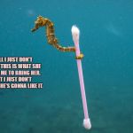 Seahorse Q-Tip 3 | WELL I JUST DON'T KNOW. THIS IS WHAT SHE ASKED ME TO BRING HER, BUT I JUST DON'T THINK SHE'S GONNA LIKE IT. | image tagged in seahorse q-tip,seahorse,q-tip | made w/ Imgflip meme maker