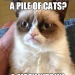 Grumpy Cat | WHAT DO YOU CALL A PILE OF CATS? A MEOWNTAIN! | image tagged in grumpy cat | made w/ Imgflip meme maker