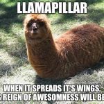 WTF LLAMA | LLAMAPILLAR; WHEN IT SPREADS IT'S WINGS, IT'S REIGN OF AWESOMNESS WILL BEGIN | image tagged in wtf llama | made w/ Imgflip meme maker