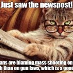 Cat reading news | Just saw the newspost! Americans are blaming mass shooting on mental health than on gun laws, which is a good sign. | image tagged in cat reading news | made w/ Imgflip meme maker