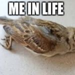 Birdie | ME IN LIFE | image tagged in birdie | made w/ Imgflip meme maker