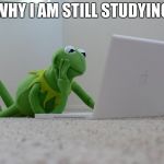 Kirmet the Frog | WHY I AM STILL STUDYING | image tagged in kirmet the frog | made w/ Imgflip meme maker