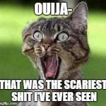 scared cat | OUIJA-; THAT WAS THE SCARIEST SHIT I'VE EVER SEEN | image tagged in scared cat | made w/ Imgflip meme maker