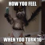 Puppymonkeybaby  | HOW YOU FEEL; WHEN YOU TURN 16 | image tagged in puppymonkeybaby | made w/ Imgflip meme maker