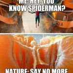 say no more | ME: HEY, YOU KNOW SPIDERMAN? NATURE: SAY NO MORE | image tagged in spiderman | made w/ Imgflip meme maker