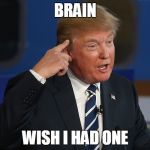 Donald Trump Pointing to His Head | BRAIN; WISH I HAD ONE | image tagged in donald trump pointing to his head | made w/ Imgflip meme maker