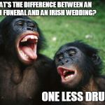 They Love To Party! | WHAT'S THE DIFFERENCE BETWEEN AN IRISH FUNERAL AND AN IRISH WEDDING? ONE LESS DRUNK! | image tagged in irish,drinking,fun | made w/ Imgflip meme maker