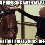 Human messing with horse ears | STOP MESSING WITH MY EARS; BEFORE I BITE YOURS OFF | image tagged in human messing with horse ears | made w/ Imgflip meme maker