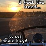 Bugs on the windshield | I feel the need... ...to kill some bugs! | image tagged in bugs on the windshield | made w/ Imgflip meme maker