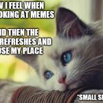 Can we get the option to bookmark where we left off? | HOW I FEEL WHEN I'M LOOKING AT MEMES; AND THEN THE PAGE REFRESHES AND I LOSE MY PLACE; *SMALL SIGH* | image tagged in sad cat,memes,page refresh,imgflip | made w/ Imgflip meme maker