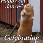 dancing cat | Happy cat dance!! Celebrating your work! | image tagged in dancing cat | made w/ Imgflip meme maker
