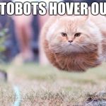 Hover Cat | AUTOBOTS HOVER OUT!! | image tagged in hover cat | made w/ Imgflip meme maker