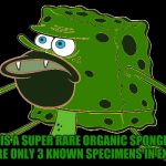 Rare Spongegar | THIS IS A SUPER RARE ORGANIC SPONGEGAR. THERE ARE ONLY 3 KNOWN SPECIMENS IN EXISTENCE. | image tagged in organic spongegar,rare,organic,spongegar,memes | made w/ Imgflip meme maker