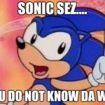 Sonic Sez | SONIC SEZ.... YOU DO NOT KNOW DA WAE | image tagged in sonic sez | made w/ Imgflip meme maker
