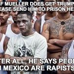 Ms 13 | IF MUELLER DOES GET TRUMP, PLEASE SEND HIM TO PRISON HERE; AFTER ALL, HE SAYS PEOPLE FROM MEXICO ARE RAPISTS SO ... | image tagged in ms 13,donald trump,racist trump | made w/ Imgflip meme maker