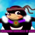Rare Knuckles | SUPA RARE WAKANDA KNUCKELS HE KNOWS DA WAE | image tagged in wakanda knuckles,knuckles,do you know the way,black panther,memes,rare | made w/ Imgflip meme maker