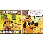 This is fine | GO TO SCHOOL; REALIZE THERE'S A TEST | image tagged in this is fine | made w/ Imgflip meme maker