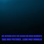 man falling in deep ocean | WE INTRUDE INTO THE OCEAN FOR MERE MOMENTS; TAKE ONLY PICTURES , LEAVE ONLY BUBBLES | image tagged in man falling in deep ocean | made w/ Imgflip meme maker