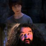 You're a wizard Harry meme
