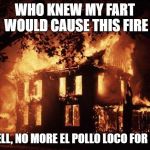 House Fire | WHO KNEW MY FART WOULD CAUSE THIS FIRE; WELL, NO MORE EL POLLO LOCO FOR ME | image tagged in house fire | made w/ Imgflip meme maker