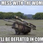 Combat Wombat | YOU MESS WITH THE WOMBAT; YOU'LL BE DEFEATED IN COMBAT | image tagged in combat wombat | made w/ Imgflip meme maker