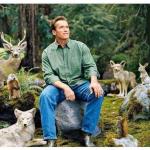 Arnold Wildlife